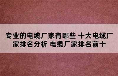 专业的电缆厂家有哪些 十大电缆厂家排名分析 电缆厂家排名前十